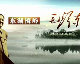 电影：东湖梅岭毛泽东