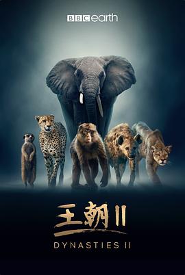 电影：王朝第二季中配版