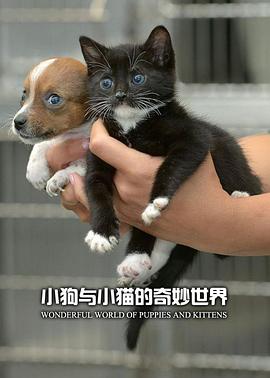 电影：小狗与小猫的奇妙世界