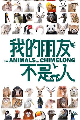 电影:我的朋友不是人