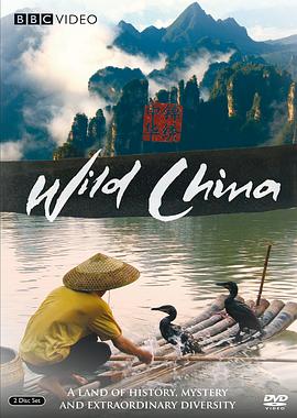 电影：美丽中国