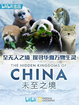 电影:未至之境