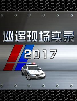 电影：巡逻现场实录2017