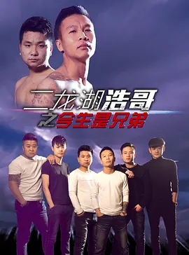 电影:二龙湖浩哥之今生是兄弟