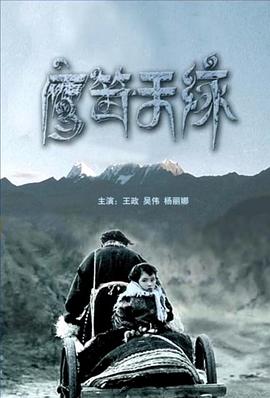 电影:鹰笛天缘