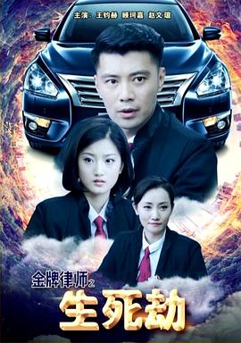 电影:金牌律师之生死劫