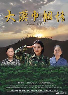 电影:大漠巾帼情
