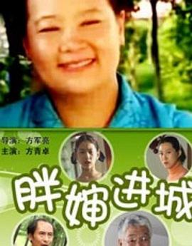 电影：胖婶进城