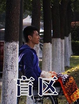 电影:盲区
