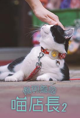 电影：他和她的喵店长2