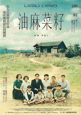电影：油麻菜籽
