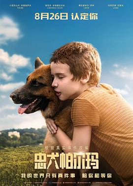 电影：忠犬帕尔玛国语