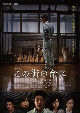 电影：为了这条街的生命