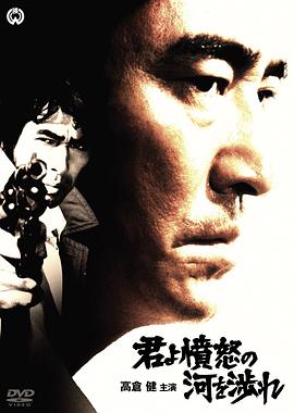 电影:追捕国语