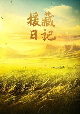 电影：援藏日记