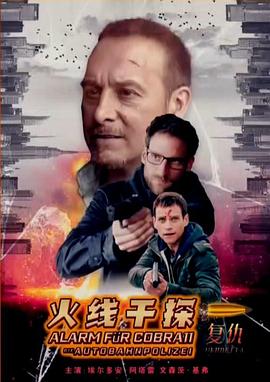 电影：火线干探之复仇国语