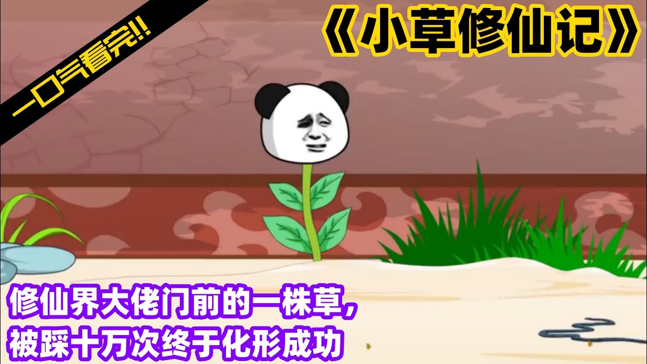 电影：小草修仙记