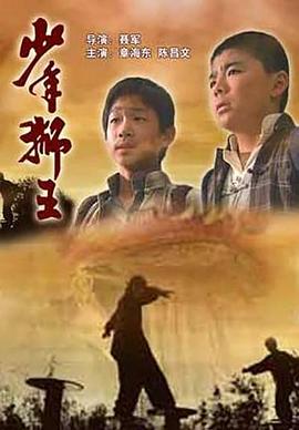 电影:少年狮王