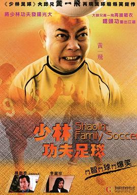 电影：功夫老爸