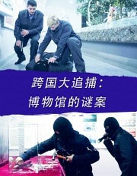 电影:跨国大追捕:博物馆的谜案