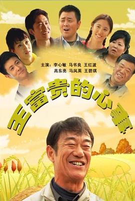 电影：王富贵的心事