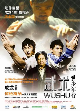 电影：武术之少年行