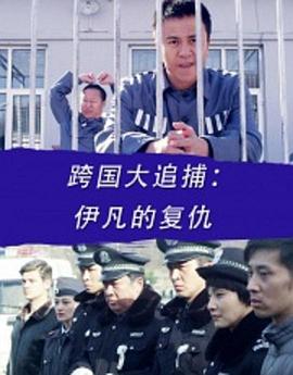 电影：跨国大追捕：伊凡的复仇