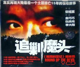 电影：追剿魔头