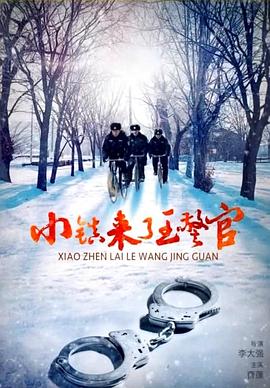 电影：小镇来了王警官