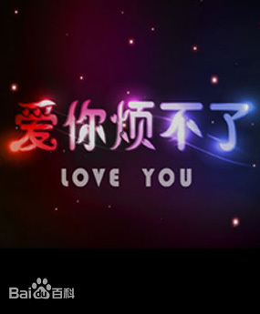 电影：爱你烦不了