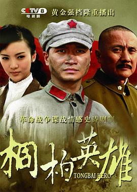 电影：桐柏英雄