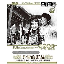 电影：多情的野猫