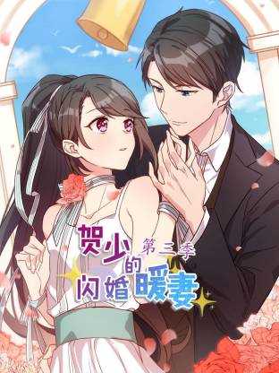 电影：贺少的闪婚暖妻第三季