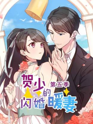 电影:贺少的闪婚暖妻第五季