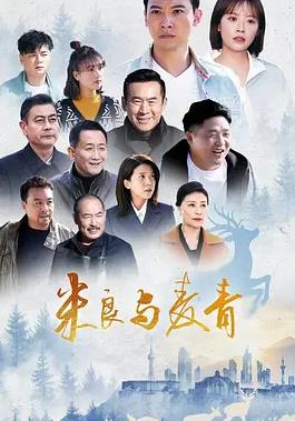 电影:米良与麦青