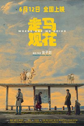 电影：走马观花